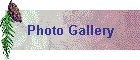 Photo Album